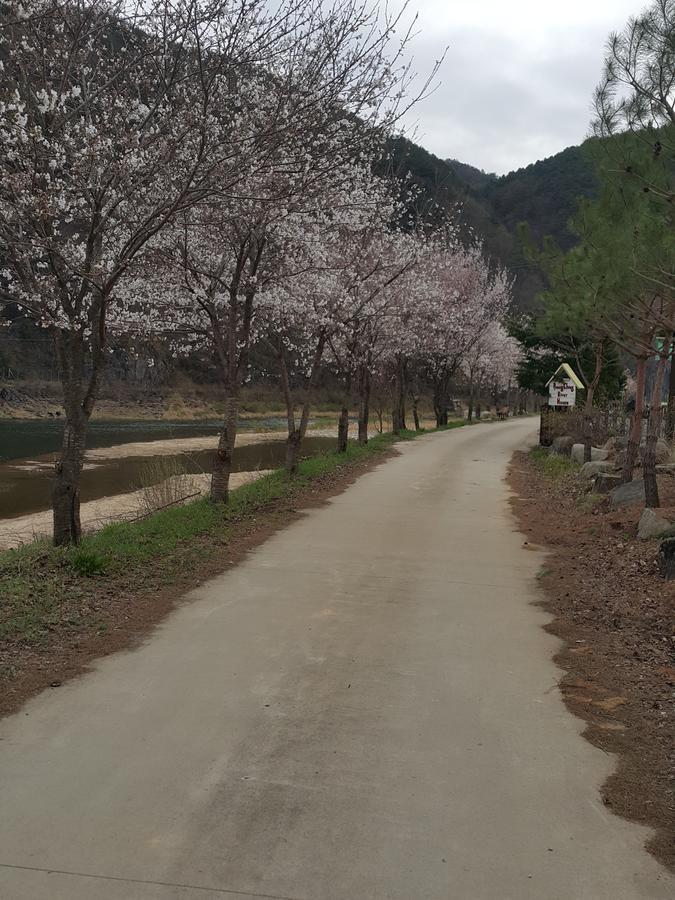 Pyeongchang River House Zewnętrze zdjęcie